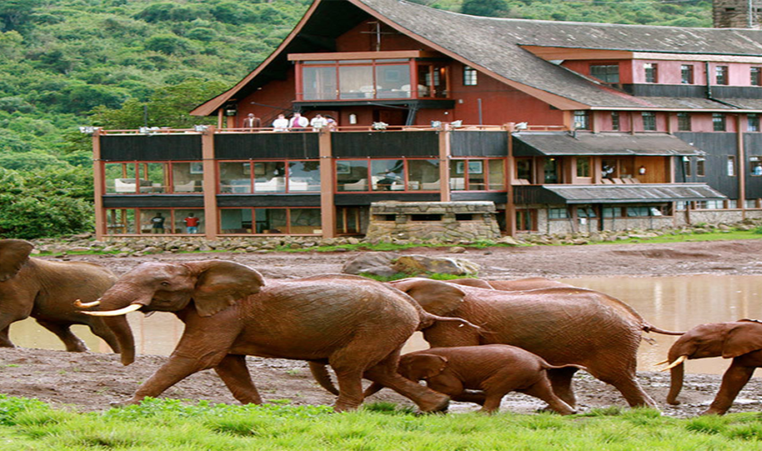 8 DAYS 7 NIGHTS SAMBURU, ABERDARES NATIONAL PARK AND MASAI MARA